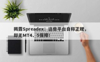 揭露Spreadex：这些平台自称正规，却无MT4、5保障！