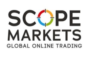 Scopemarkets는 "제 3 자 서비스"를 사용하여 법적 책임을 이전하여 승리 요금 검은 색 플랫 플랫폼의 75%를 유치하여 부추를 자릅니다!