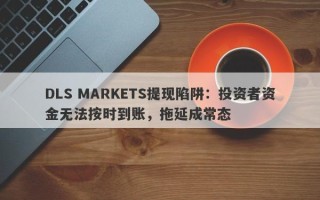 DLS MARKETS提现陷阱：投资者资金无法按时到账，拖延成常态