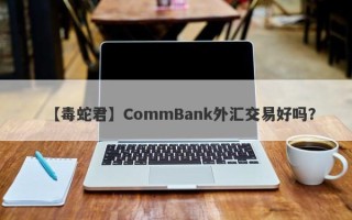 【毒蛇君】CommBank外汇交易好吗？
