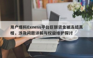 用户爆料Exness平台巨额资金被冻结真相，涉及问题详解与权益维护探讨