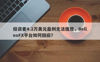 投资者4.2万美元盈利无法提现，BelleoFX平台如何回应？