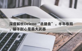 深度解析Deleno“杀猪盘”，半年布局，骗子耐心是最大武器