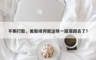 不断打脸，美股缘何就这样一路涨回去了？