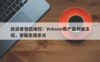 投资者愤怒维权：Vebson账户盈利被冻结，客服态度恶劣