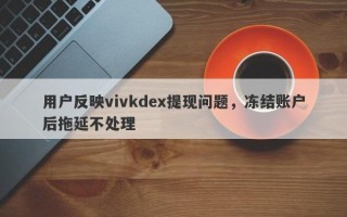 用户反映vivkdex提现问题，冻结账户后拖延不处理