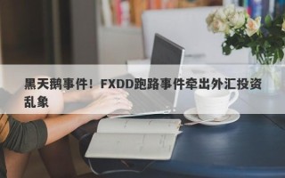 黑天鹅事件！FXDD跑路事件牵出外汇投资乱象