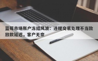 蓝莓市场账户冻结风波：违规交易处理不当致放款延迟，客户无奈