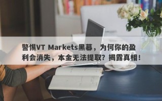 警惕VT Markets黑幕，为何你的盈利会消失，本金无法提取？揭露真相！