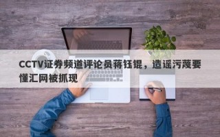 CCTV证券频道评论员蒋钰锟，造谣污蔑要懂汇网被抓现