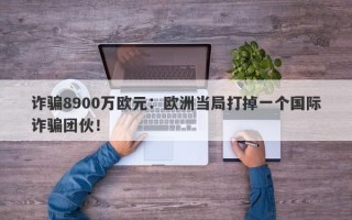 诈骗8900万欧元：欧洲当局打掉一个国际诈骗团伙！