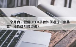 三个月内，假冒HTFX平台如何通过“割韭菜”操作吸引投资者？