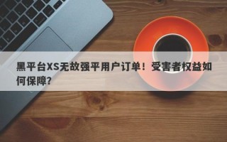 黑平台XS无故强平用户订单！受害者权益如何保障？