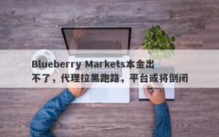 Blueberry Markets本金出不了，代理拉黑跑路，平台或将倒闭