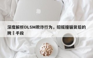 深度解析DLSM欺诈行为，招摇撞骗背后的腌臜手段