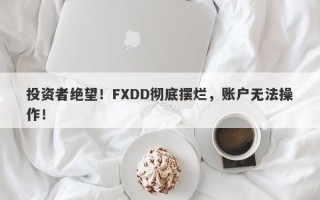 投资者绝望！FXDD彻底摆烂，账户无法操作！