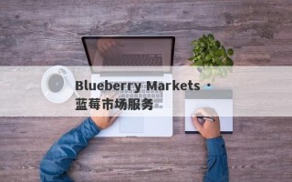 Blueberry Markets · 蓝莓市场服务