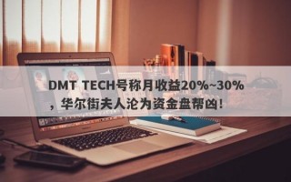 DMT TECH号称月收益20%~30%，华尔街夫人沦为资金盘帮凶！