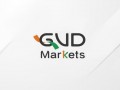 GVDMARKETS is aimed at the three non -platforms of Chinese people! The predecessor was the negative textbook of the "Finance Channel"!