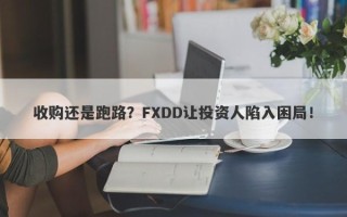 收购还是跑路？FXDD让投资人陷入困局！