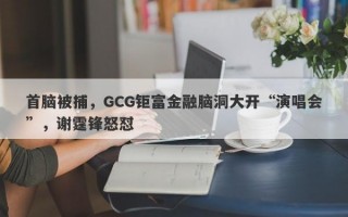 首脑被捕，GCG钜富金融脑洞大开“演唱会”，谢霆锋怒怼