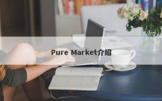 Pure Market介绍