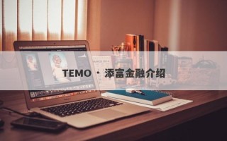 TEMO · 添富金融介绍