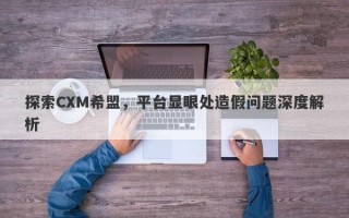 探索CXM希盟，平台显眼处造假问题深度解析