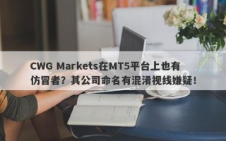 CWG Markets在MT5平台上也有仿冒者？其公司命名有混淆视线嫌疑！