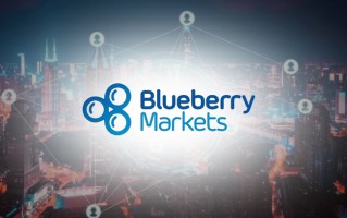 Blueberrymarkets che giấu một thảm họa, tránh giám sát và hợp đồng!Ý định độc quyền dữ liệu giao dịch!