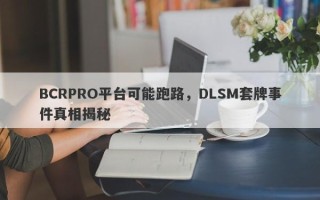 BCRPRO平台可能跑路，DLSM套牌事件真相揭秘