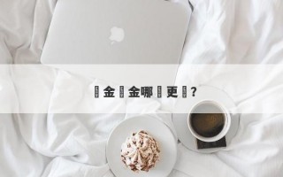 黃金鉑金哪個更貴？