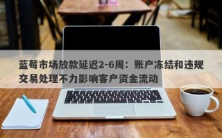 蓝莓市场放款延迟2-6周：账户冻结和违规交易处理不力影响客户资金流动