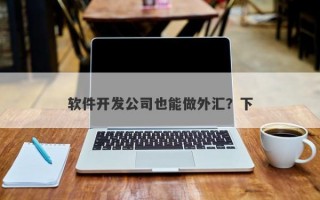 软件开发公司也能做外汇？下