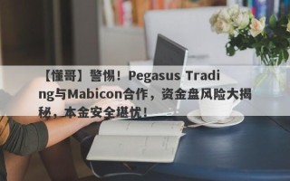 【懂哥】警惕！Pegasus Trading与Mabicon合作，资金盘风险大揭秘，本金安全堪忧！