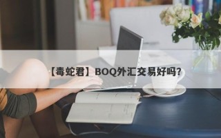 【毒蛇君】BOQ外汇交易好吗？
