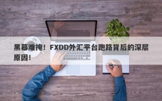 黑幕难掩！FXDD外汇平台跑路背后的深层原因！