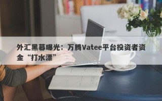 外汇黑幕曝光：万腾Vatee平台投资者资金“打水漂”