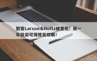 假冒Larson＆Holtz被查处！新一年投资可得擦亮双眼！