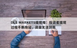 DLS MARKETS提现难：投资者提现过程不断拖延，资金无法到账