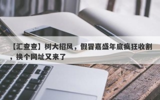 【汇查查】树大招风，假冒嘉盛年底疯狂收割，换个网址又来了