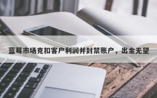 蓝莓市场克扣客户利润并封禁账户，出金无望