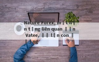 Nature Forex, một nền tảng liên quan đến Vatee, đã lăn con đường