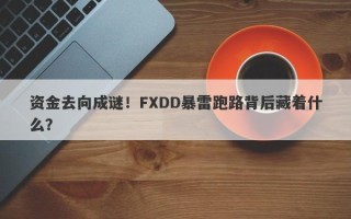 资金去向成谜！FXDD暴雷跑路背后藏着什么？