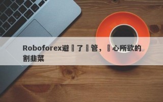 Roboforex避開了監管，隨心所欲的割韭菜