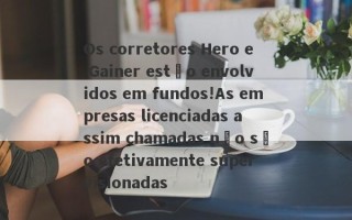 Os corretores Hero e Gainer estão envolvidos em fundos!As empresas licenciadas assim chamadas não são efetivamente supervisionadas