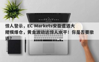 惊人警示，EC Markets安盈遭遇大规模爆仓，黄金波动达惊人水平！你是否要撤退？