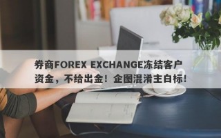 券商FOREX EXCHANGE冻结客户资金，不给出金！企图混淆主白标！