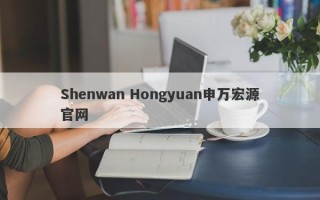 Shenwan Hongyuan申万宏源官网