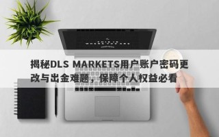 揭秘DLS MARKETS用户账户密码更改与出金难题，保障个人权益必看